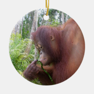 Adorno De Cerámica Orangután de Krista en Borneo