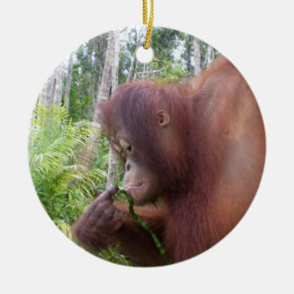 Adorno De Cerámica Orangután de Krista en Borneo