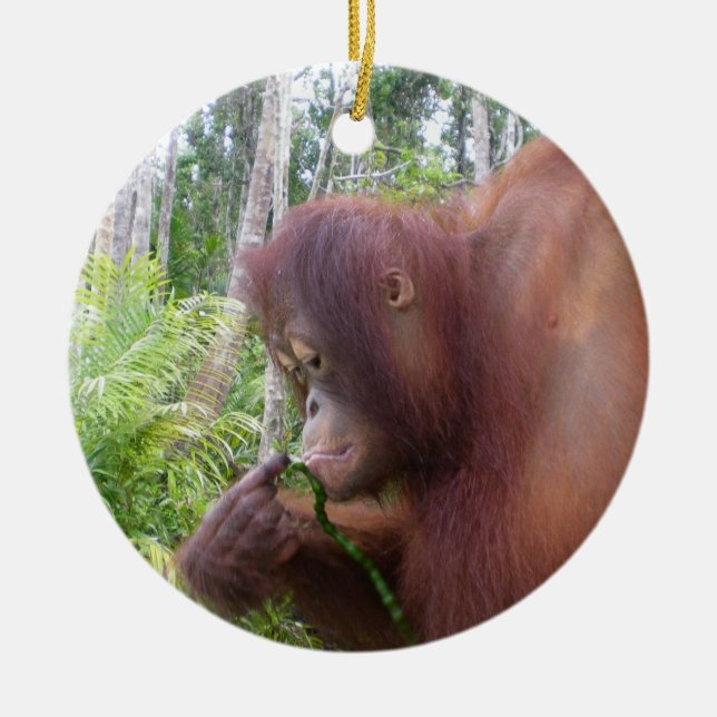 Adorno De Cerámica Orangután de Krista en Borneo (Frente)
