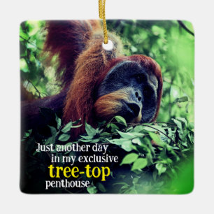 Adorno De Cerámica Orangutan relajándose en el árbol