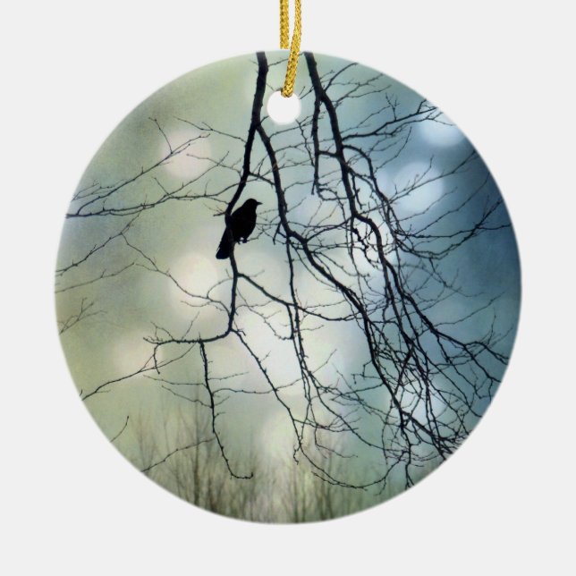 Adorno De Cerámica Orbs (Frente)