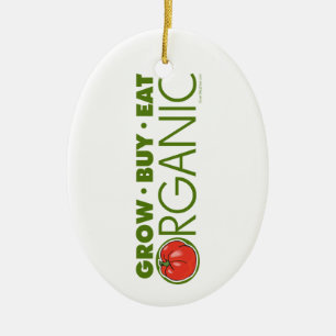 Adorno De Cerámica Orgánica