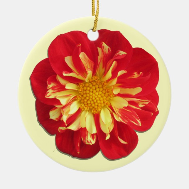 Adorno De Cerámica Ornament - StarSister Dahlia (Frente)