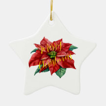 OrnamentCeramic, Star Ornament, festín de vacacion