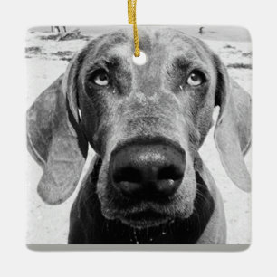 ADORNO DE CERÁMICA ***ORNAMENTO DE NAVIDAD DE WEIMARANER***