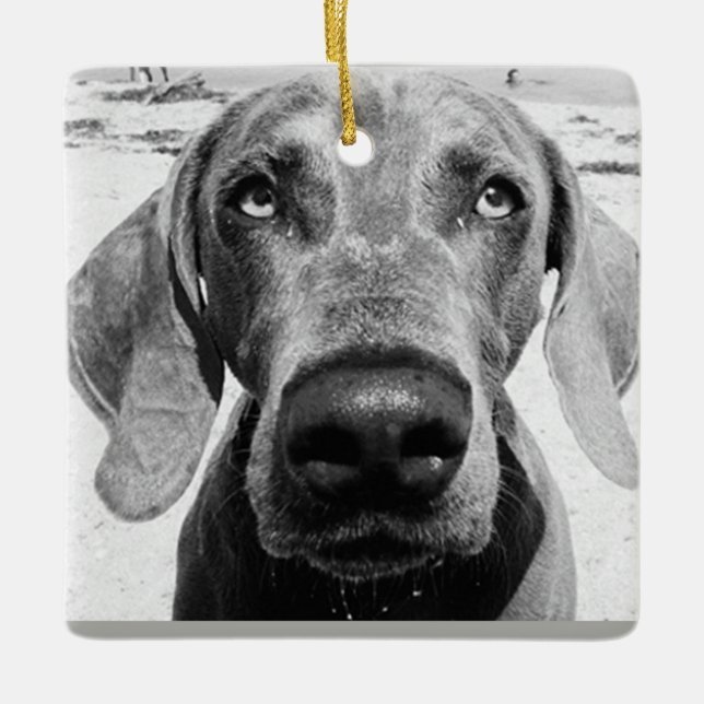 ADORNO DE CERÁMICA ***ORNAMENTO DE NAVIDAD DE WEIMARANER*** (Anverso)