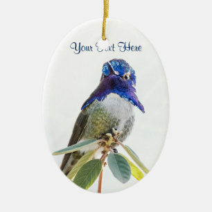 Adorno De Cerámica Ornamento: El colibrí (Oval)