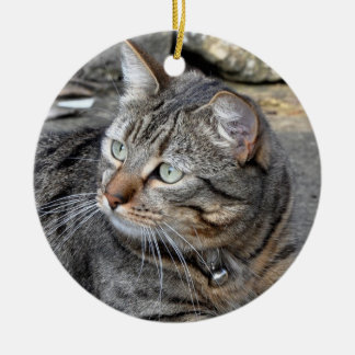 Adorno De Cerámica Ornamento: Gato de Tabby