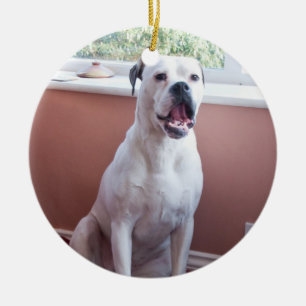 Adorno De Cerámica Ornamento: Perro blanco del boxeador