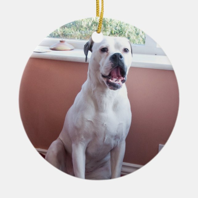 Adorno De Cerámica Ornamento: Perro blanco del boxeador (Frente)