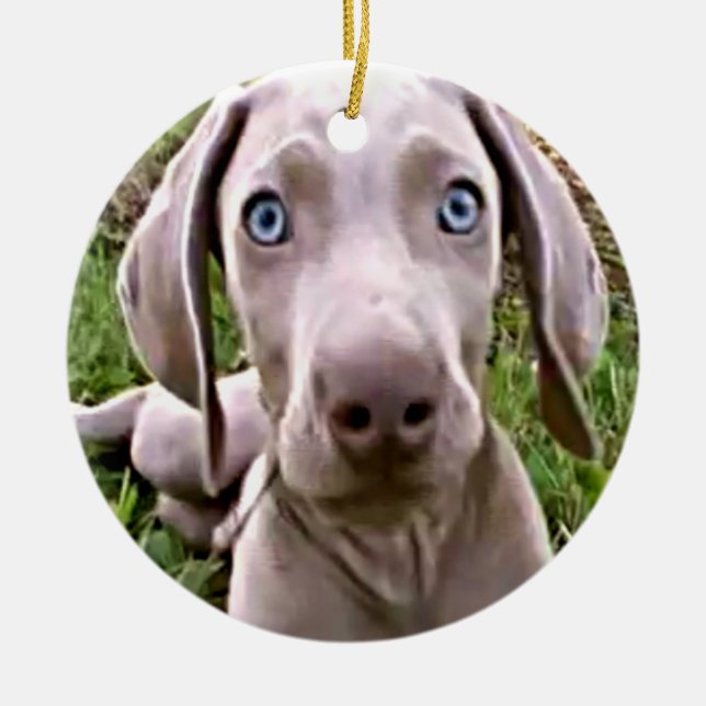 ADORNO DE CERÁMICA ORNAMIENTO DE NAVIDAD "WEIMARANER" (Frente)