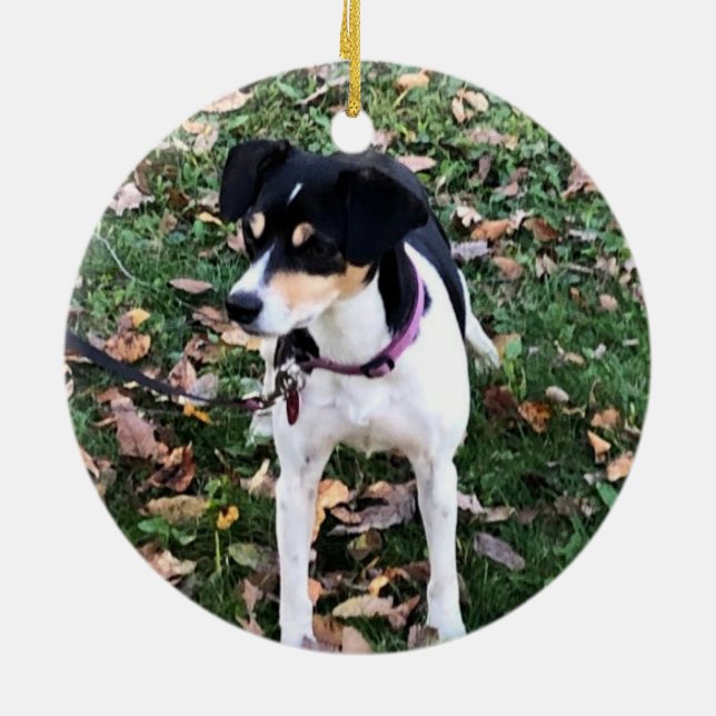 ADORNO DE CERÁMICA ORNAMIENTO RAT TERRIER DOG CHRISTMAS (Atrás)