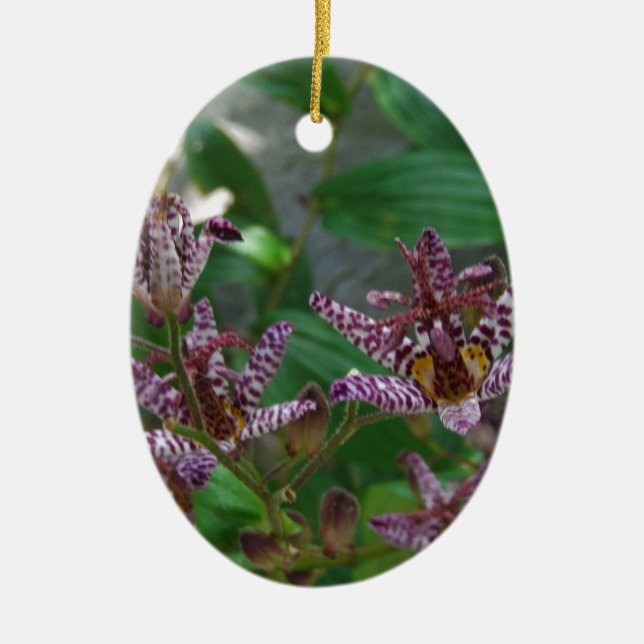 Adorno De Cerámica Orquídea de rayas blancas púrpura como lilo floral (Frente)