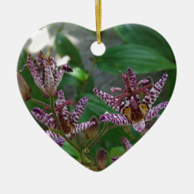 Adorno De Cerámica Orquídea de rayas blancas púrpura como lilo floral (Frente)