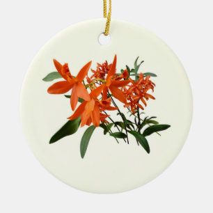 Adorno De Cerámica Orquídea Epidendrum Naranja