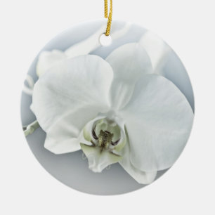 Adorno De Cerámica Orquídea Phalaenopsis Blanca
