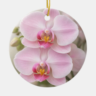 Adorno De Cerámica Orquídea Phalaenopsis Rosa Suave