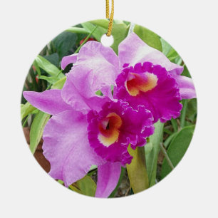 Adorno De Cerámica Orquídeas púrpuras de Cattleya