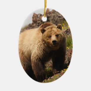 Adorno De Cerámica oso