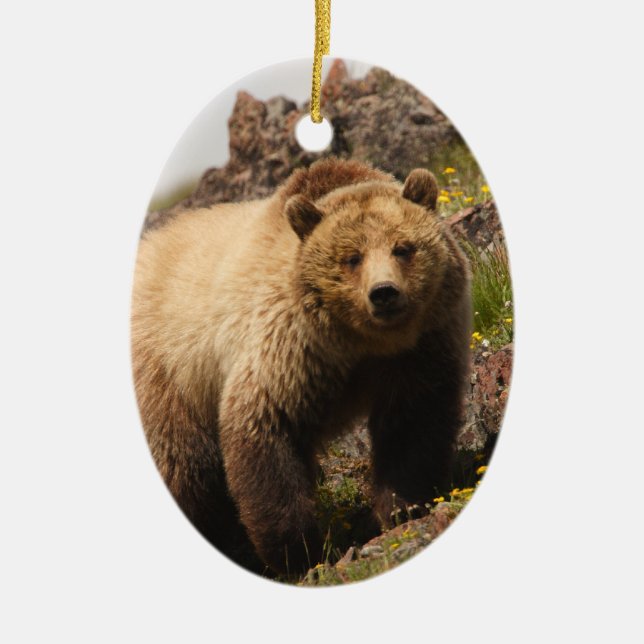 Adorno De Cerámica oso (Frente)