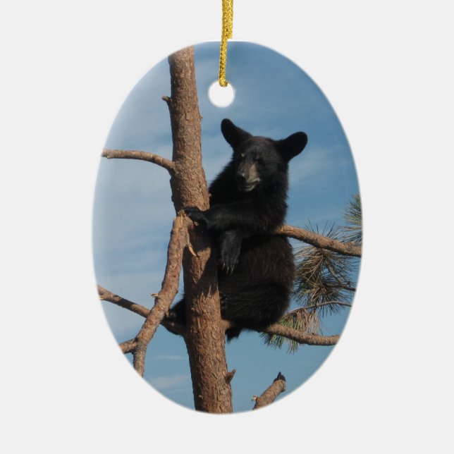 Adorno De Cerámica Oso Cub en un árbol (Frente)