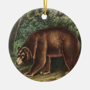 Adorno De Cerámica Oso de Cinnamon (Ursus Americanus var. Cinnamonum)