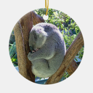 Adorno De Cerámica Oso de koala