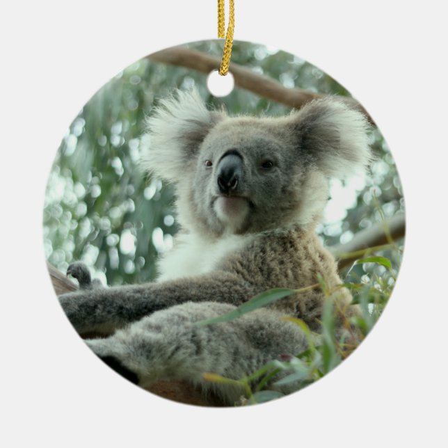 Adorno De Cerámica Oso de koala (Frente)