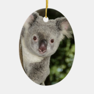 Adorno De Cerámica oso koala de Australia animal lindo