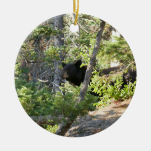 Adorno De Cerámica Oso negro en Grand Teton