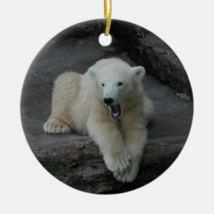 Adorno De Cerámica Oso polar de Yawning