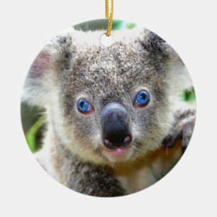 Adorno De Cerámica Osos Koala