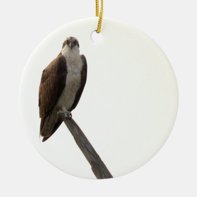 Adorno De Cerámica Osprey Bird Ornament  (Frente)