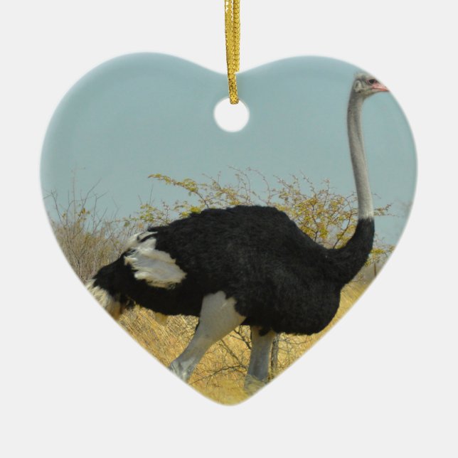 Adorno De Cerámica Ostrige fuera a correr (Frente)