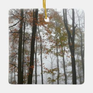Adorno De Cerámica Otoño Brumoso en la Naturaleza de Otoño de Pensilv