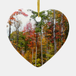 Adorno De Cerámica Otoño en el bosque Fotografía colorida de otoño