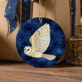 Adorno De Cerámica Owl Flying Across Starry Night First Xmas Photo
