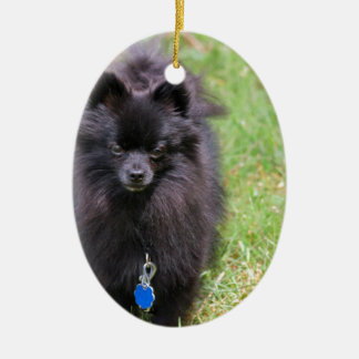 Adorno De Cerámica Pablo el Pomeranian