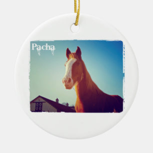 Adorno De Cerámica Pacha Deluxe Edition Mug