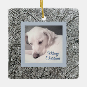 Adorno De Cerámica Pacífico cachorro blanco día nevado azul nevado