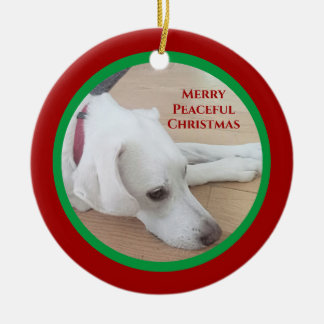 Adorno De Cerámica Pacíficos Navidades de Collar Rojo Perro Blanco
