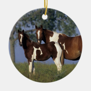 Adorno De Cerámica Paint HMare & Foal