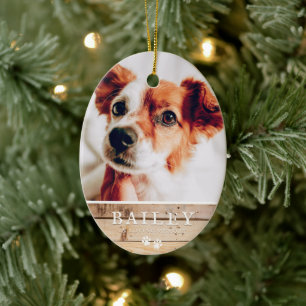Adorno De Cerámica País conmemorativo del mascota Rústica y Woodsy Pa