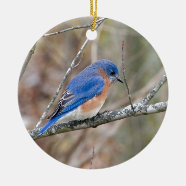 Adorno De Cerámica Pájaro azul del Bluebird en árbol (Frente)