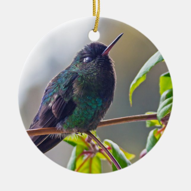 Adorno De Cerámica Pájaro costarricense - Hummingbird (Frente)
