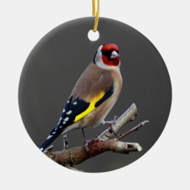 Adorno De Cerámica Pájaro del Goldfinch (Frente)