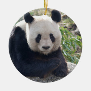 Adorno De Cerámica Panda Gigante amistoso