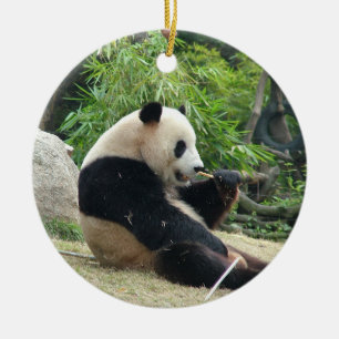 Adorno De Cerámica Panda gigante en una fotografía de zoológico salva