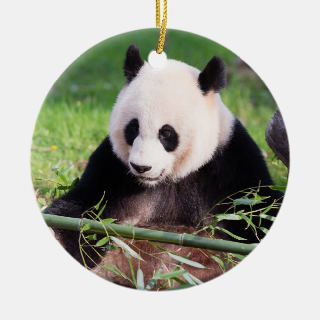 Adorno De Cerámica Panda gigante Mei Xiang (Frente)