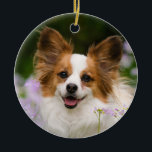 Adorno De Cerámica Papillon Dog Romántico Retrato Cuto<br><div class="desc">Perro del Papilón Blanco y Rojo sentado en un prado rodeado de Cuckooflower. El Papillon es una especie de juguete alerta, amigable y muy inteligente. Este pequeño y encantador perro fue fotografiado por Katho Menden, este adorno de cerámica redonda de Navidad es una encantadora idea de regalo especial para los...</div>